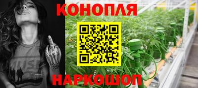 наркотики Будённовск