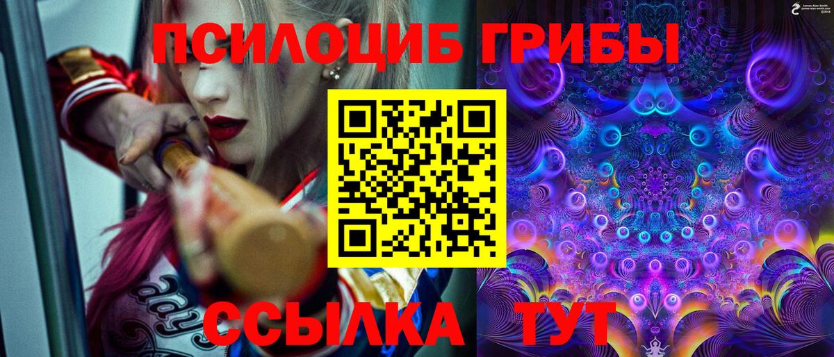 Малгобек  Галлюциногенные грибы Psilocybine cubensis  Вход с VPN  Галлюциногенные грибы Cubensis 
